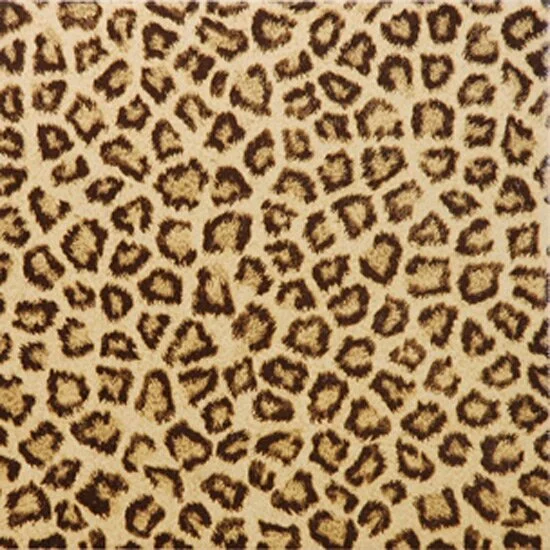 leopard60